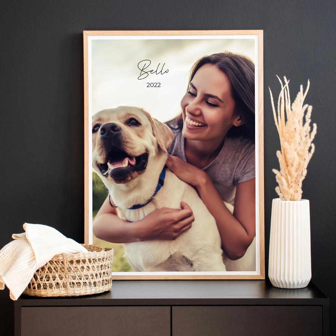 Real picture poster "pet love"
